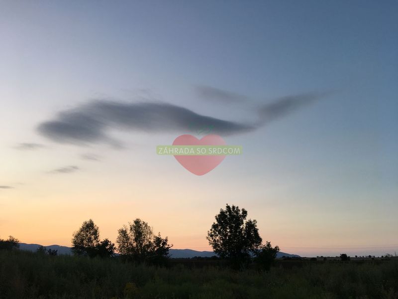 2018 vystava Trebisov